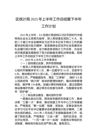区统计局2025年上半年工作总结暨下半年工作计划