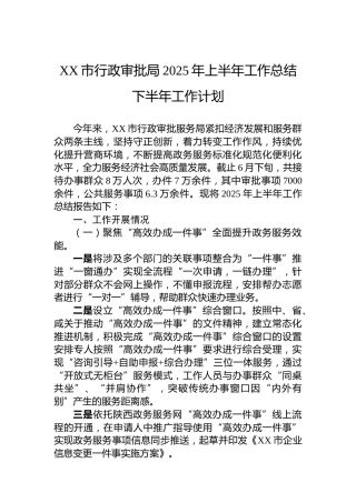 XX市行政审批局2025年上半年工作总结下半年工作计划