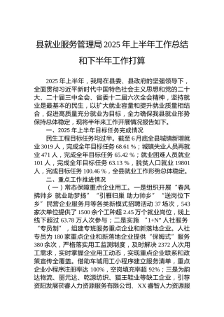 县就业服务管理局2025年上半年工作总结和下半年工作打算