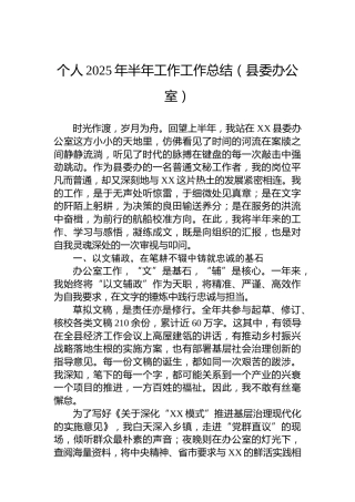 个人2025年半年工作工作总结（县委办公室）