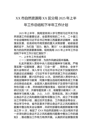 XX市自然资源局XX区分局2025年上半年工作总结和下半年工作计划