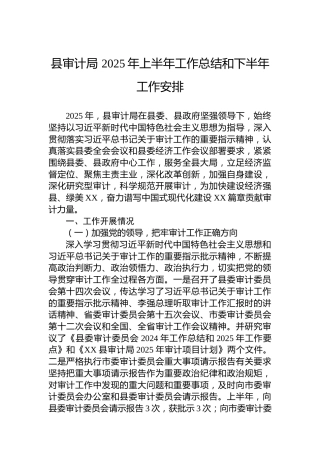 县审计局 2025年上半年工作总结和下半年工作安排