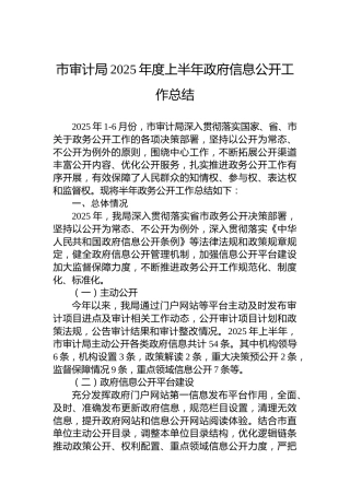 市审计局2025年度上半年政府信息公开工作总结