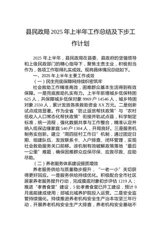 县民政局2025年上半年工作总结及下步工作计划