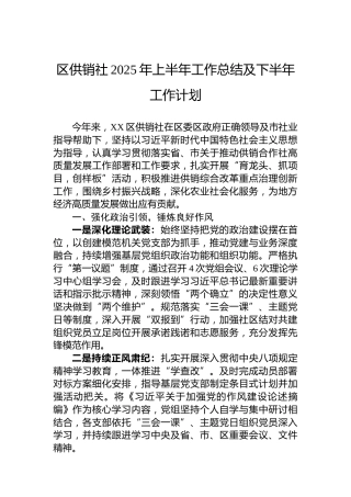 区供销社2025年上半年工作总结及下半年工作计划