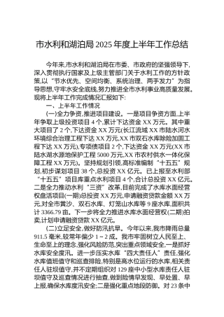 市水利和湖泊局2025年度上半年工作总结