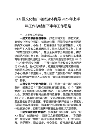 XX区文化和广电旅游体育局2025年上半年工作总结和下半年工作思路