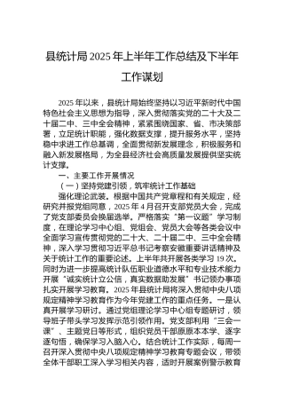 县统计局2025年上半年工作总结及下半年工作谋划