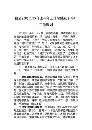 县公安局2025年上半年工作总结及下半年工作谋划