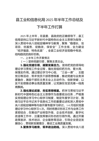 县工业和信息化局2025年半年工作总结及下半年工作打算