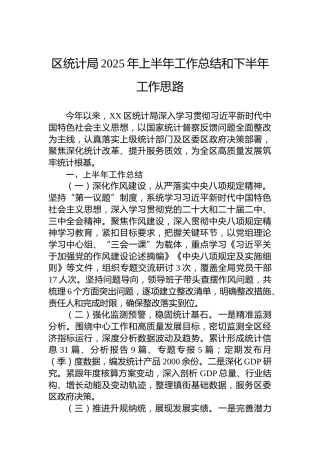 区统计局2025年上半年工作总结和下半年工作思路