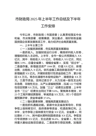 市财政局2025年上半年工作总结及下半年工作安排