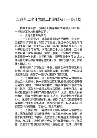 2025年上半年党建工作总结及下一步计划