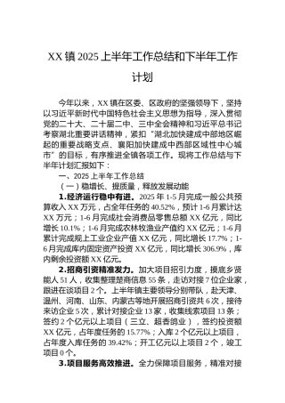 XX镇2025上半年工作总结和下半年工作计划
