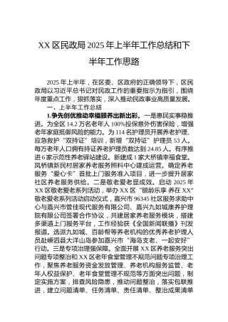 XX区民政局2025年上半年工作总结和下半年工作思路