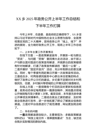 XX乡2025年政务公开上半年工作总结和下半年工作打算