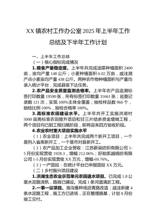 XX镇农村工作办公室2025年上半年工作总结及下半年工作计划