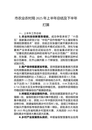 市农业农村局2025年上半年总结及下半年打算