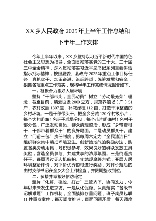 XX乡人民政府 2025年上半年工作总结和下半年工作安排