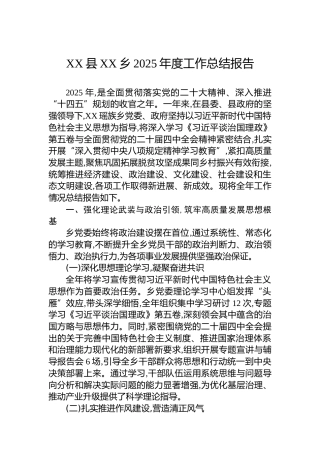 XX县XX乡2025年度工作总结报