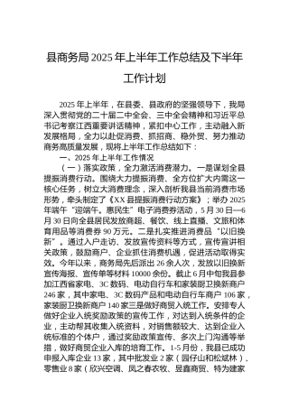 县商务局2025年上半年工作总结及下半年工作计划