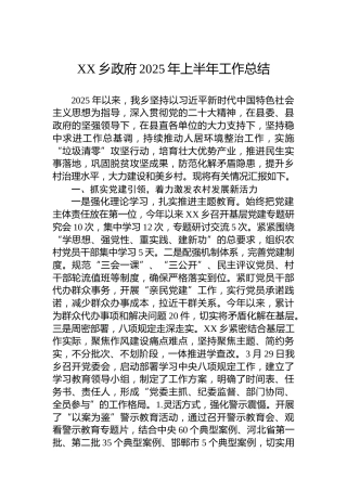 XX乡政府2025年上半年工作总结