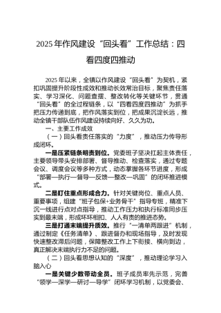 2025年作风建设“回头看”工作总结：四看四度四推动