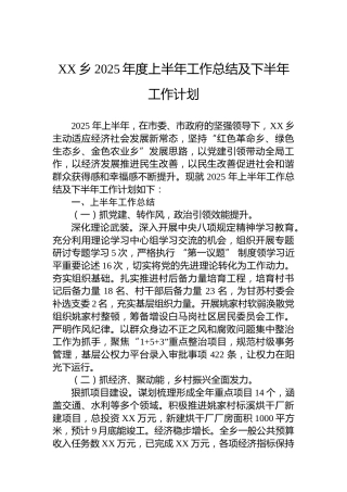 XX乡2025年度上半年工作总结及下半年工作计划