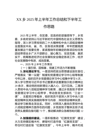 XX乡2025年上半年工作总结和下半年工作思路