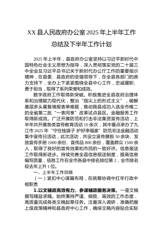 XX县人民政府办公室2025年上半年工作总结及下半年工作计划
