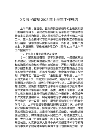 XX县民政局2025年上半年工作总结