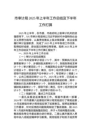 市审计局2025年上半年工作总结及下半年工作打算