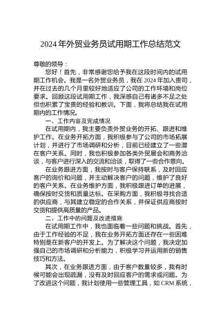 2024年外贸业务员试用期工作总结范文