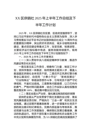 XX区供销社2025年上半年工作总结及下半年工作计划