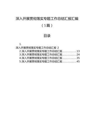 深入开展贯彻落实专题工作总结汇报汇编（5篇）