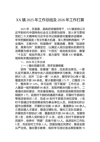 XX镇2025年工作总结及2026年工作打算