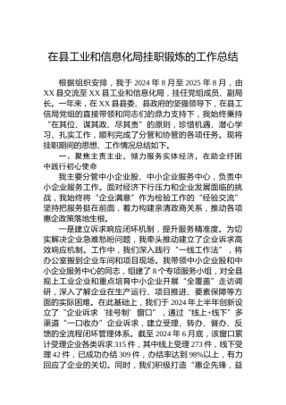 在县工业和信息化局挂职锻炼的工作总结 (2)