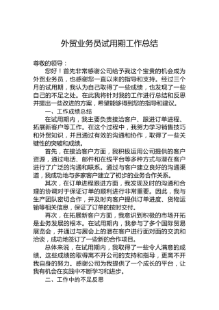外贸业务员试用期工作总结