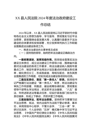 XX县人民法院2024年度法治政府建设工作总结