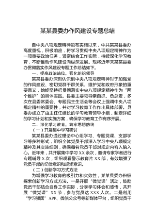 某某县委办作风建设专题总结