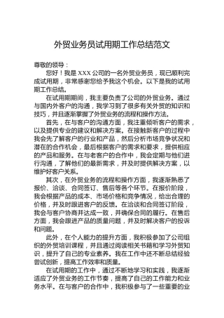 外贸业务员试用期工作总结范文