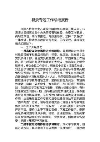 县委专题工作总结报告