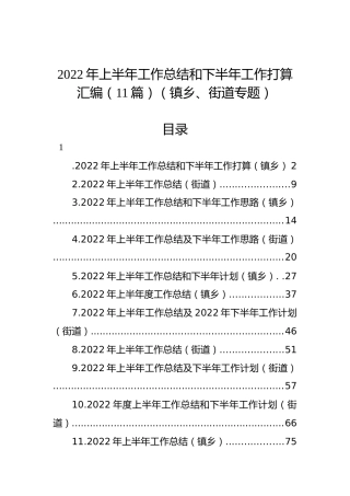 2022年上半年工作总结和下半年工作计划汇编（11篇）（镇乡、街道）