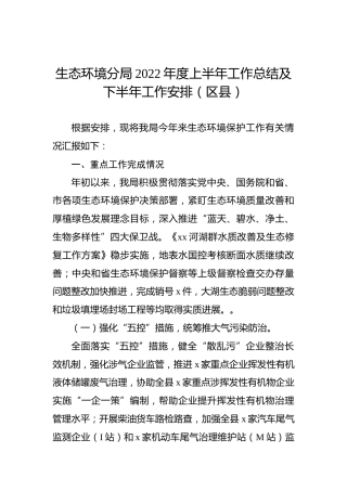 生态环境分局2022年度上半年工作总结及下半年工作安排（区县）