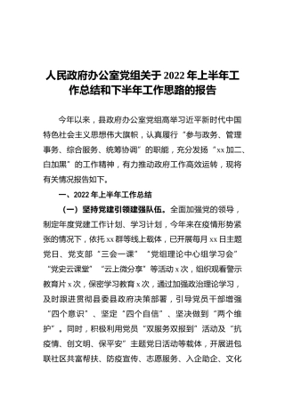 人民政府办公室党组关于2022年上半年工作总结和下半年工作思路的报告