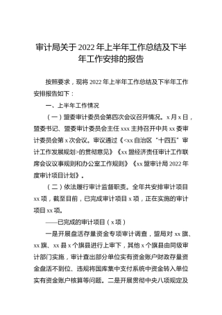 审计局关于2022年上半年工作总结及下半年工作安排的报告