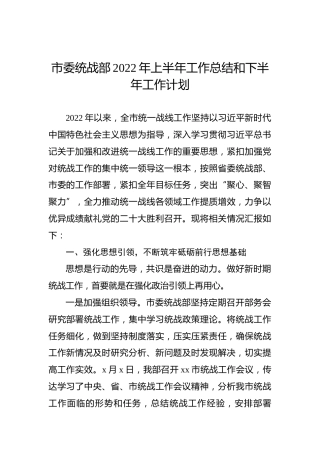 市委统战部2022年上半年工作总结和下半年工作计划