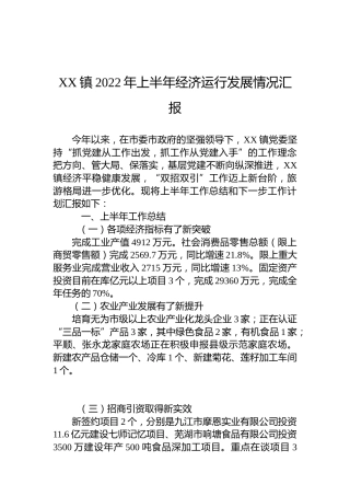 XX镇2022年上半年经济运行发展情况汇报