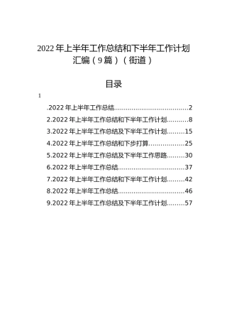 2022年上半年工作总结和下半年工作计划