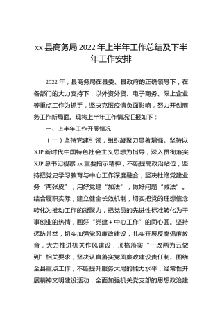 xx县商务局2022年上半年工作总结及下半年工作安排
